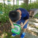 우리동네청소대장 이미지