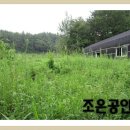 선동목장 이미지