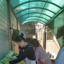 동두천제일요양병원 이미지