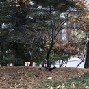 커피93.0