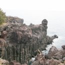 선배네농장 이미지