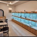 이정훈 강아지 하남본점 이미지