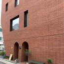 [성신여대 애견동반카페] 유기동물 후원 가능한 따뜻한 애견동반카페 펫터니아하우스
