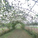 낙동강체육공원 축구장 화장실 | 가족과 함께하는 구미 가을 여행, 꽃과 자연이 만난 낙동강 체육공원