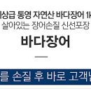 자연산바다장어 이미지