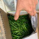 비코2호 이미지