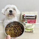 (주)에미넌트 이미지