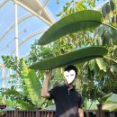 광주광역시 시립수목원 B동 | [수목원,정원 스탬프 투어] 17. 광주시립수목원