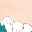 레이어21 이미지