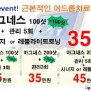 아그네스 이미지