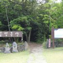 동백동산 이미지