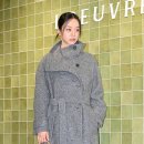 비브레이니