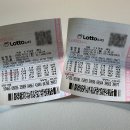 1194 | 로또 1194회 구매 후기