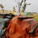 필승농장 이미지