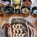 힘찬장어 이미지