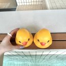 오리 아뜰리에 이미지