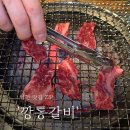 공단로 | 영천 망정동 소금갈비 맛집 '깡통갈비 영천점' 솔직후기