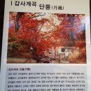11월1일,일요일,계룡산,갑사산행{예약안내} 이미지