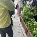 [서촌나들이 솔직후기] 종로맛집 &#34;활짝핀메밀&#34;🍝 / 종로카페 &#34;더트커피&#34; 🍰