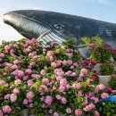 태허정로 이미지