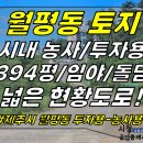 토지2-195[ 제주시 월평동 월평교차로/애조로 근처 토지 매매(394평/국유지 임야 도로접함/현황도로 있음/임야) ]#애조로토지, 월 이미지