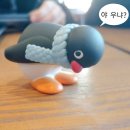 일 라고 이미지