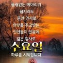 아침햇살 같은 하루를 소망합니다 이미지