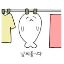 고양이발자국 이미지