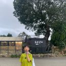 달품 | [영암 카페]남향재 근처 한옥카페 화담 카페 후기