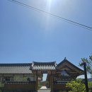 연세참한의원 | [26.05.10.]경주 '대추밭백한의원' 노광고 내돈내산 4대 원장님 진료 후기(결과 추가)
