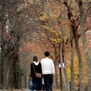 사랑의 염원 이미지