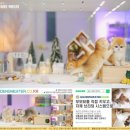 골든스웨터 캐터리 이미지