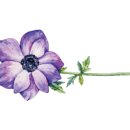 펠리스 헤어&네일 이미지