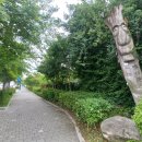 탄허기념박물관 | 수서역 근처 <탄허기념 불교박물관> 관람 후기!