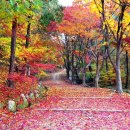 만추의 전원 이미지