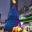 해운대 빛 축제와 경주 월정교 동궁지 야경등 이미지