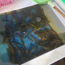 고창해성수산 이미지