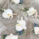 다산중앙로82번안길 115-2 이미지