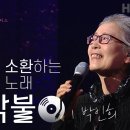 모닥불 ㅡ 가수 박인희님 이미지