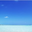 바다생각 이미지