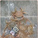신신낚시신항만점