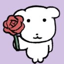 거제비타민씨 | 2026.February🎂