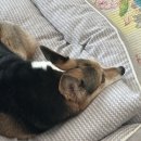 진주여자고등학교 | 노력할 만큼 한 수학 임용(경남)후기