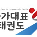 국가대표 S 태권도 이미지