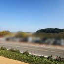 주남저수지 단풍나무화장실 이미지