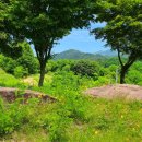 망향의동산 화장실 이미지