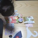 꽁냥이네드레스룸 | 꽁냥이네드레스룸 케이프 체험 후기~