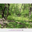 이마당약수터 이미지