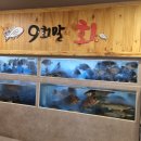 9회말회