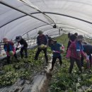 서부여농업협동조합 이미지